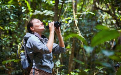 Ecotourisme et destinations les plus écologiques du monde : Où voyager pour préserver la planète ?