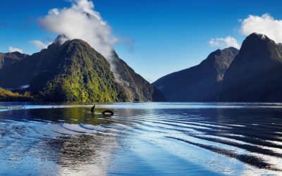 Voyage en Nouvelle-Zélande : le guide