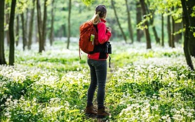 Randonnée en forêt : Les accessoires indispensables à avoir dans votre sac