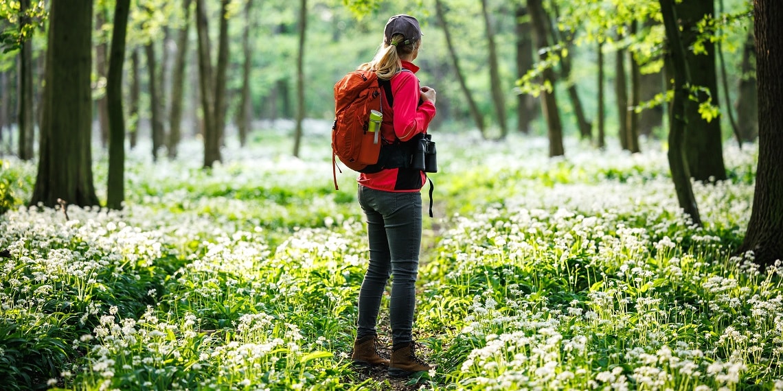 accessoires randonnée en forêt